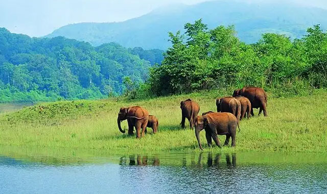 amazingkerala