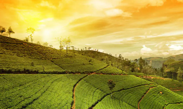 amazingkerala